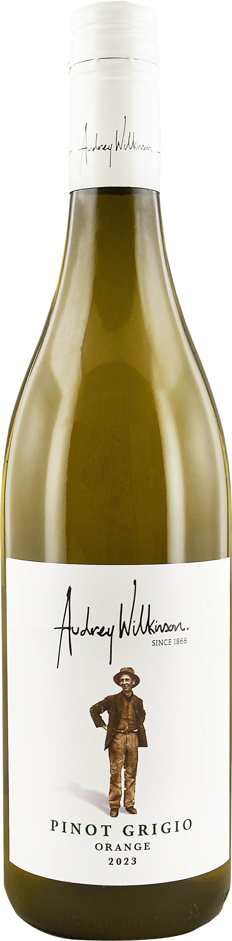 Audrey Wilkinson Pinot Grigio 2024 Orange